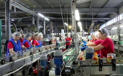 Вступление в Национальный проект Производительность труда Обоянского консервного завода.